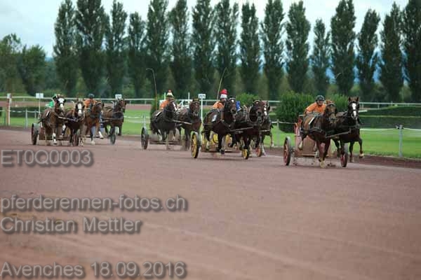 ET0Q0003 prot